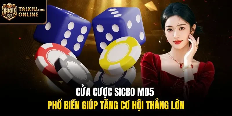 Cửa cược sicbo MD5 phổ biến giúp tăng cơ hội thắng lớn