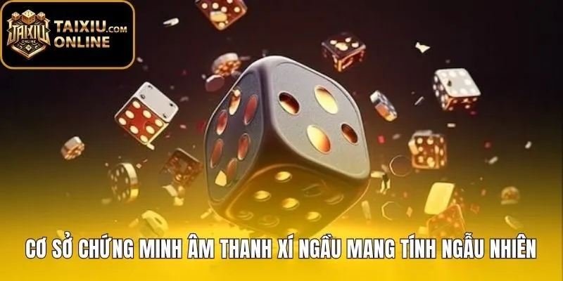 Quy luật ngẫu nhiên phản bác phương pháp nghe tiếng xí ngầu